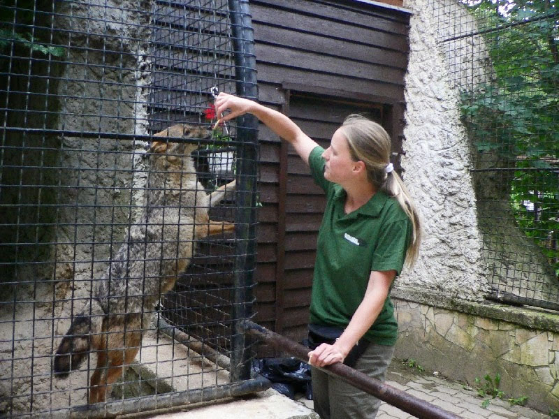 Kati állatgondozó a Budakeszi Vadasparkban