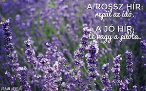 Virágos háttérkép mottóval - 1. Levendula - urban:eve