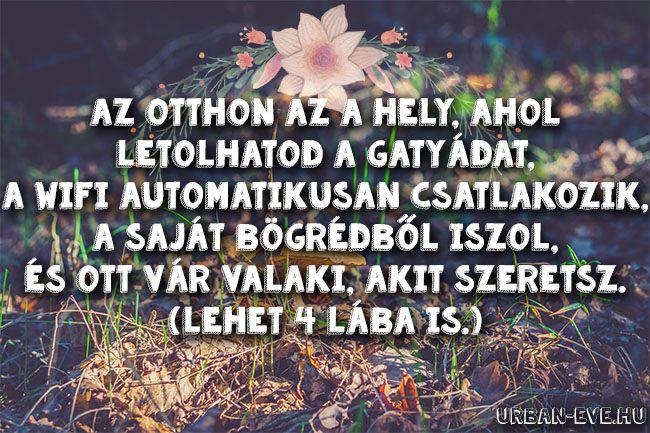 otthon-koltozes