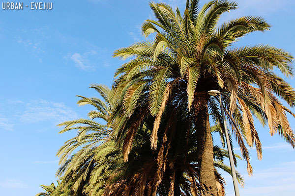 barcelona-gaudi-guell-06