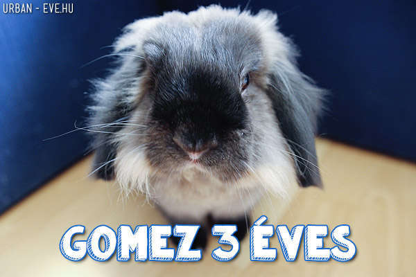 gomez3eves-01