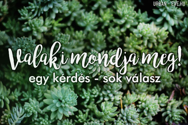 valakimondjameg