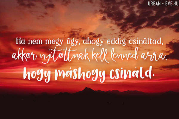 csak csináld